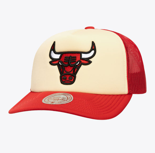 NBA Bulls Vintage Block Trucker