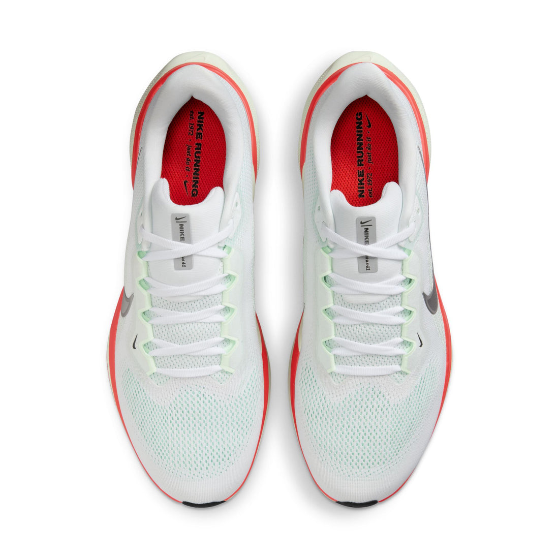 Nike Air Zoom Pegasus 41 (White/Metallic Silver)