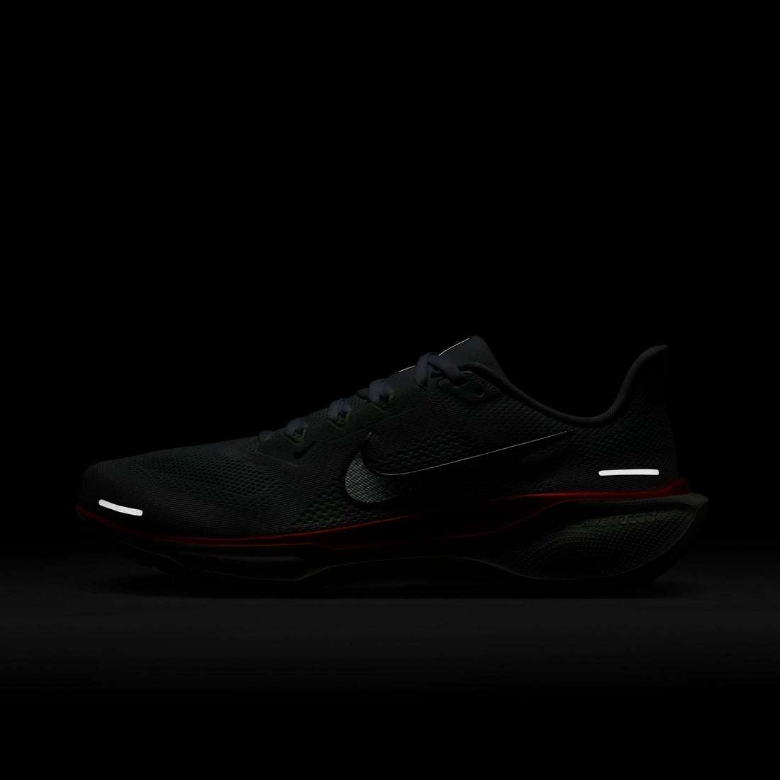 Nike Air Zoom Pegasus 41 (White/Metallic Silver)