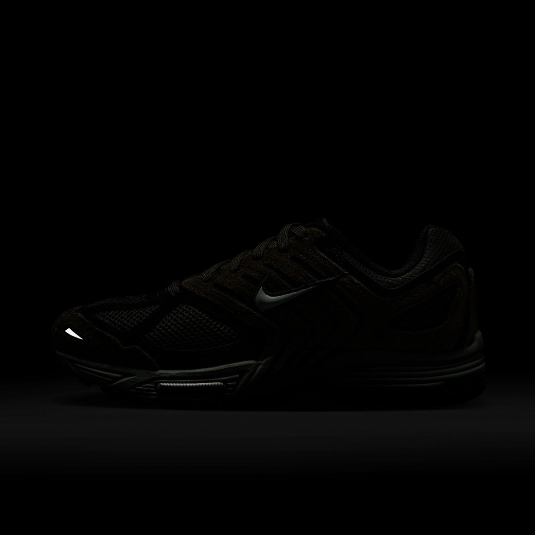 WMNS Nike Air Pegasus 2005 (Sequoia/Light Silver/Black)