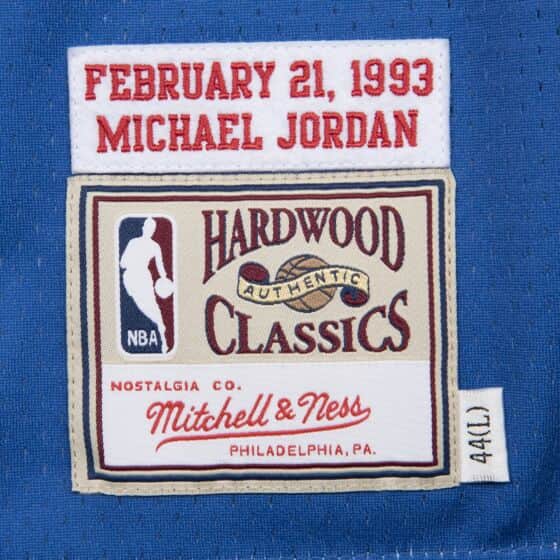 Mitchell & Ness NBA Authentic Bulls 1995 Michael Jordan Jersey (Blue)