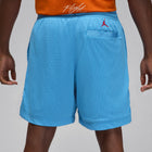 Air Jordan MJ Art Shorts (Coast)