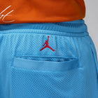 Air Jordan MJ Art Shorts (Coast)