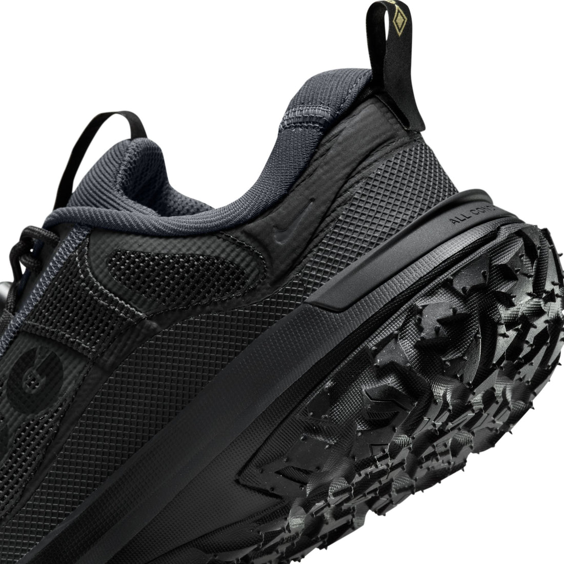 Nike ACG Mountain Fly 2 Low GTX (DK Smoke Grey/Black/Black)