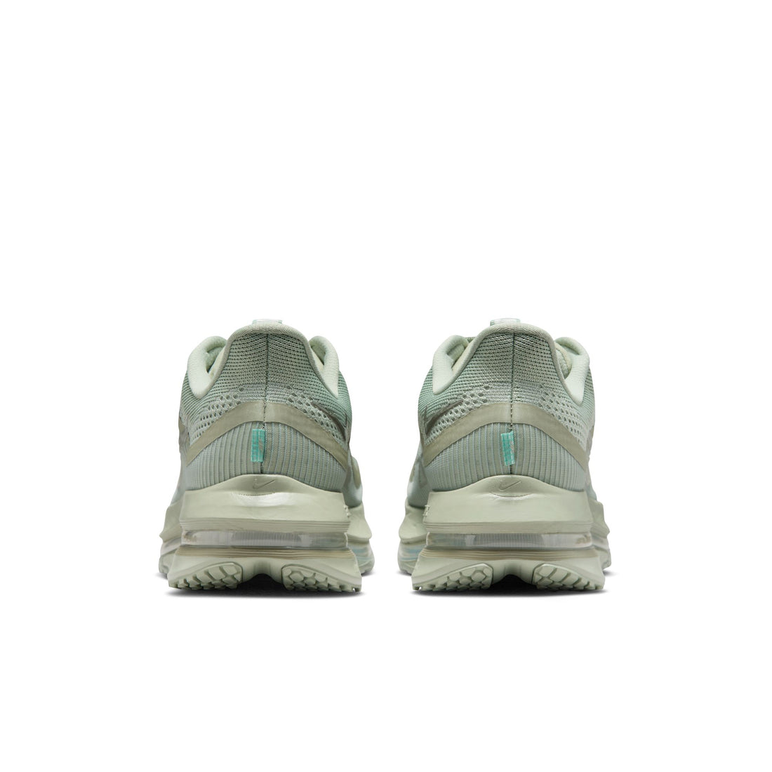 Nike Pegasus Premium (Jade Horizon/Light Army)