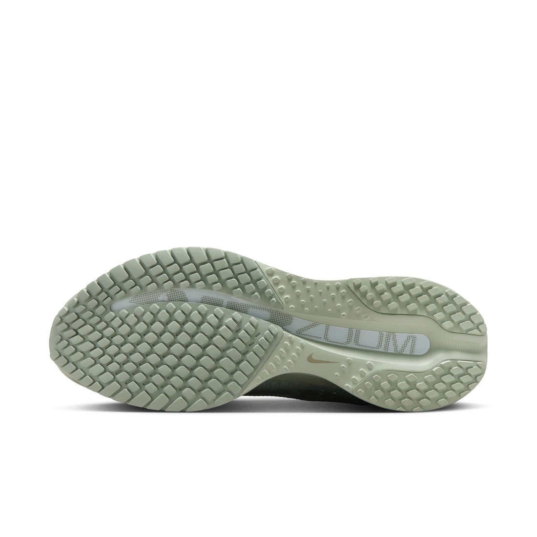 Nike Pegasus Premium (Jade Horizon/Light Army)