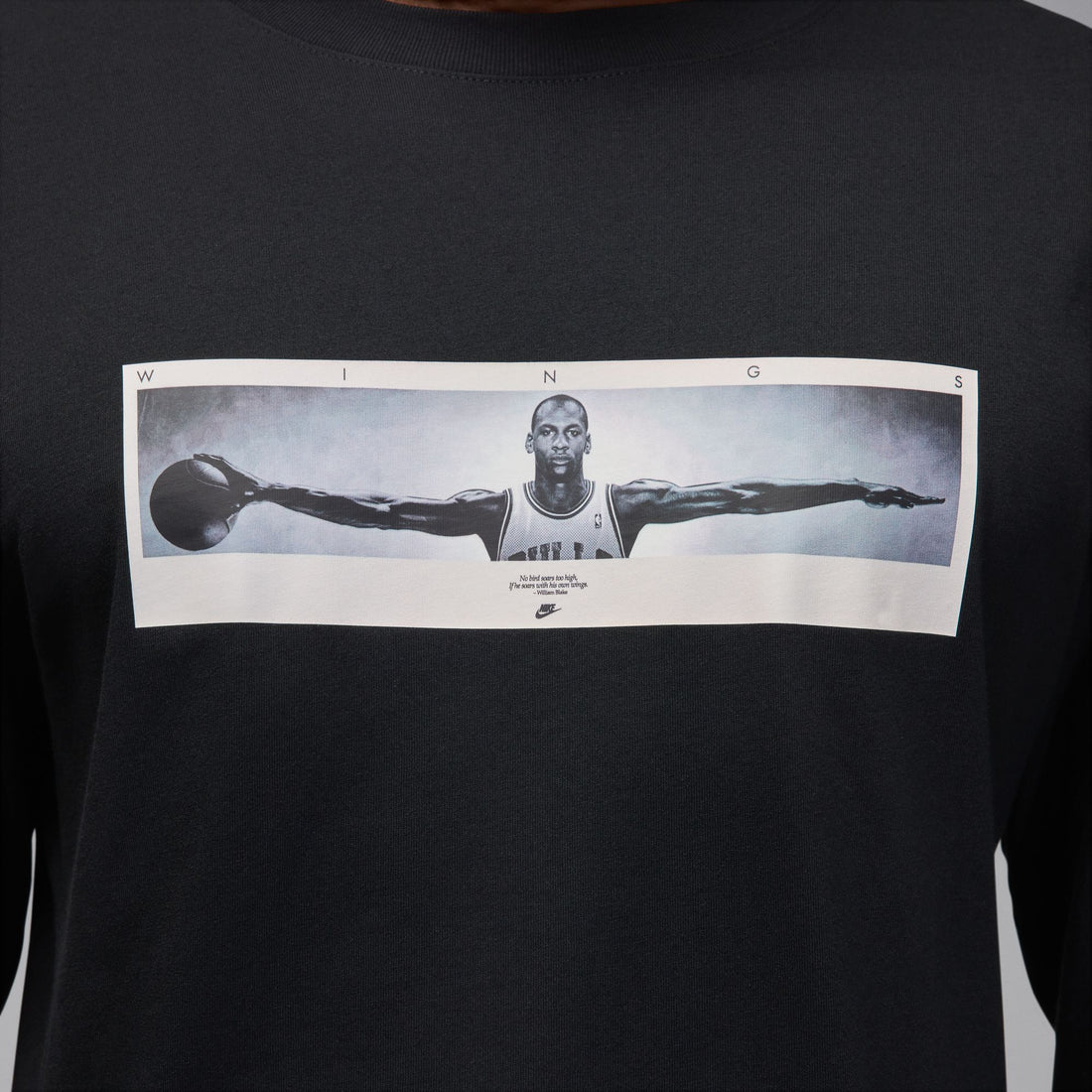 Air Jordan "Wings" Long-sleeve T-Shirt