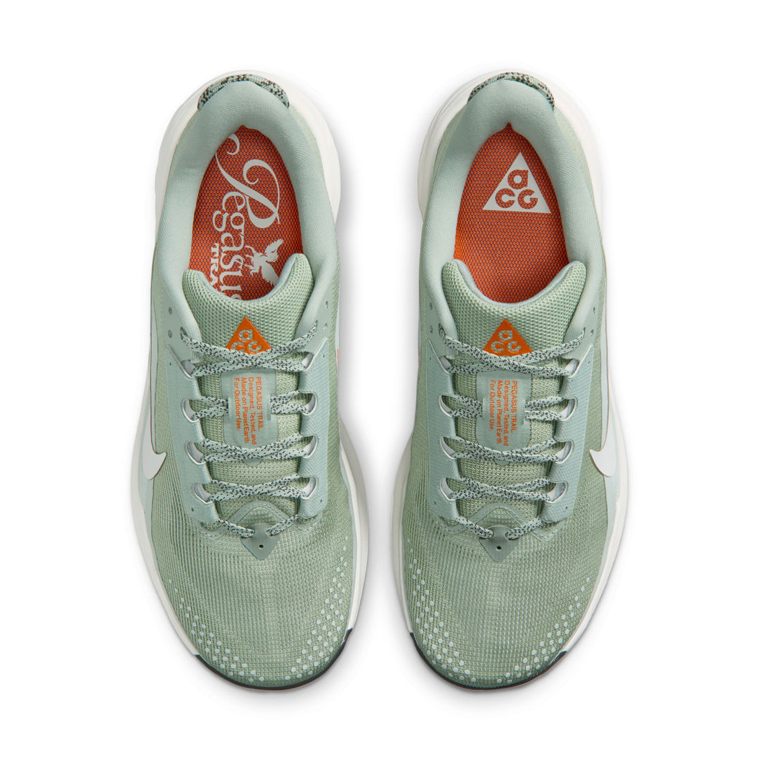 Nike ACG Pegasus Trail (Jade Horizon/Phantom)