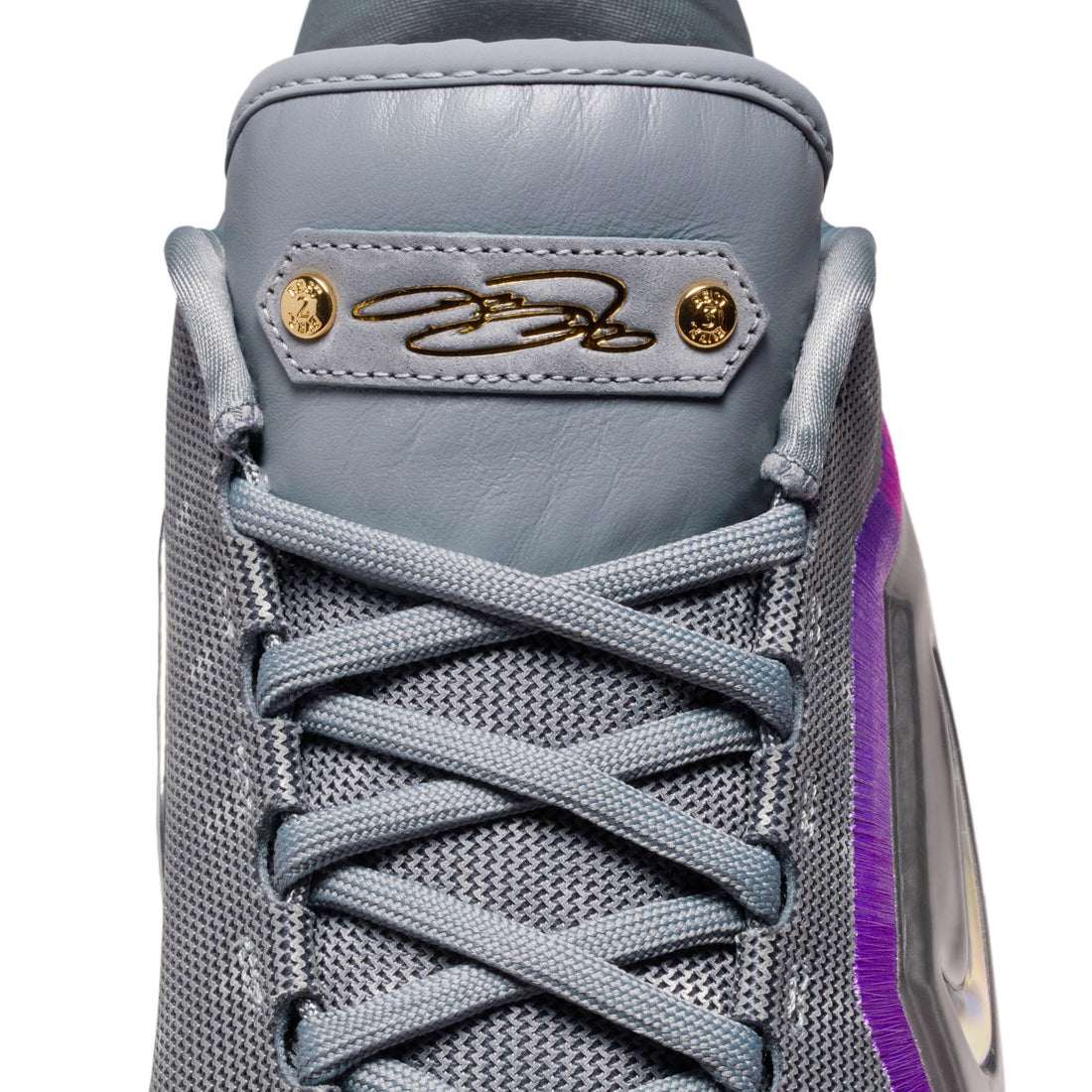 Nike Lebron XXIII LUX (Cool Grey/Multicolor)