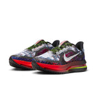 Nike Pegasus Premium (Multicolor/Metallic Silver)