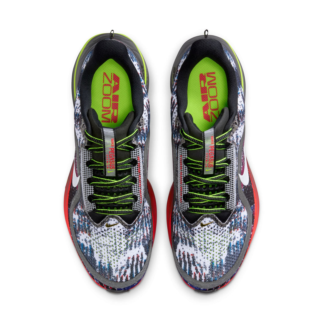 Nike Pegasus Premium (Multicolor/Metallic Silver)