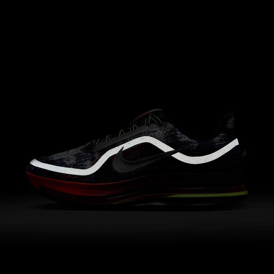 Nike Pegasus Premium (Multicolor/Metallic Silver)