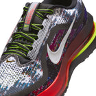 Nike Pegasus Premium (Multicolor/Metallic Silver)