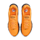 Nike Air Max DN8 (Sundial/DK Smoke Grey)