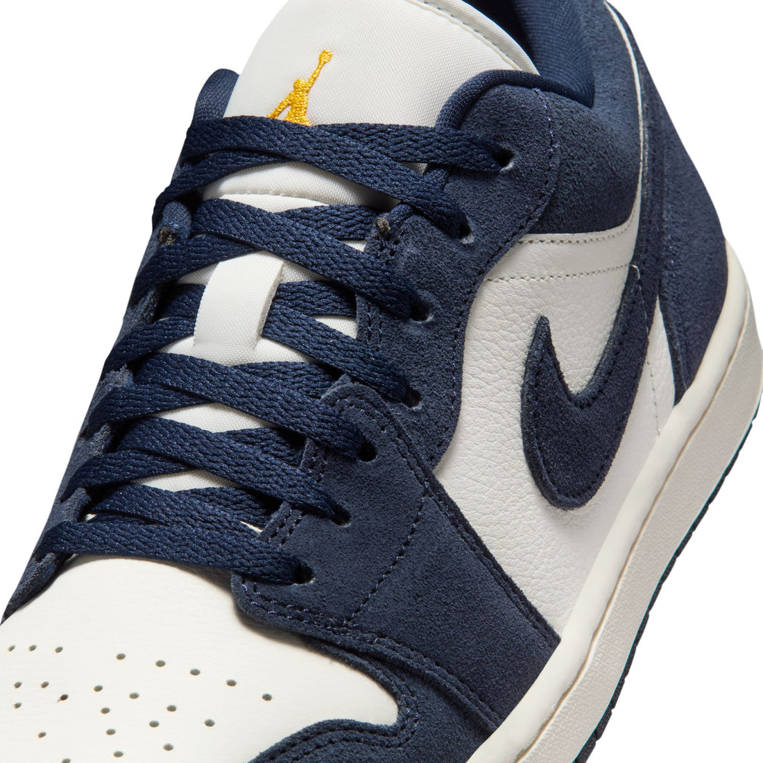 Air Jordan 1 Low SE (Obsidian/Obsidian)