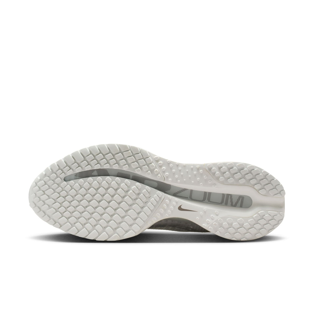 WMNS Nike Pegasus ESS (Summit White/White)