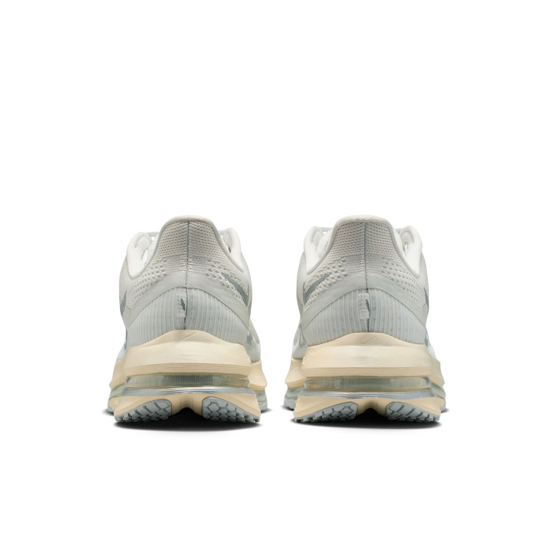 Nike Pegasus Premium (Platinum Tint/Reflect Silver)