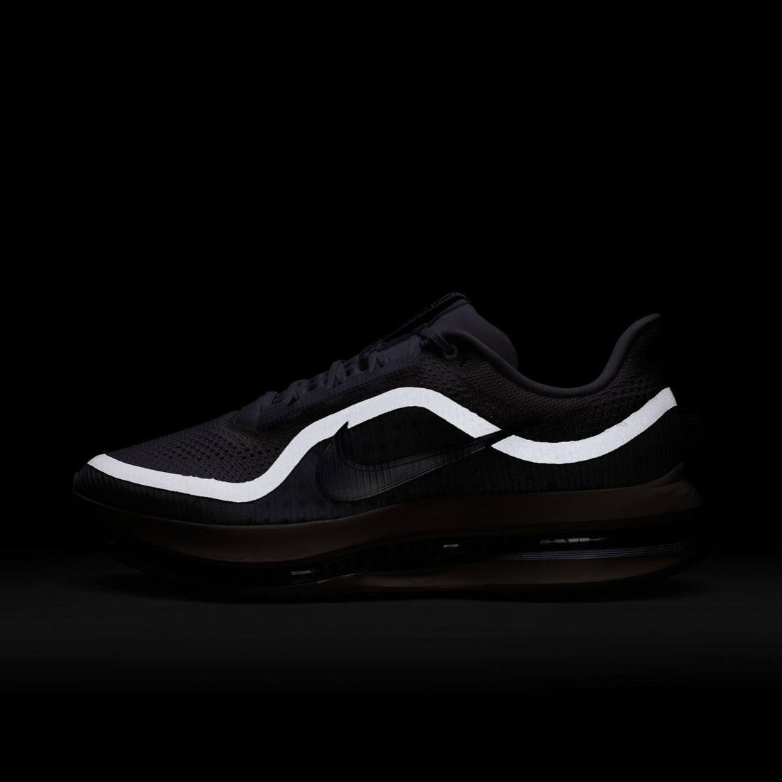 Nike Pegasus Premium (Platinum Tint/Reflect Silver)