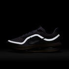 Nike Pegasus Premium (Platinum Tint/Reflect Silver)