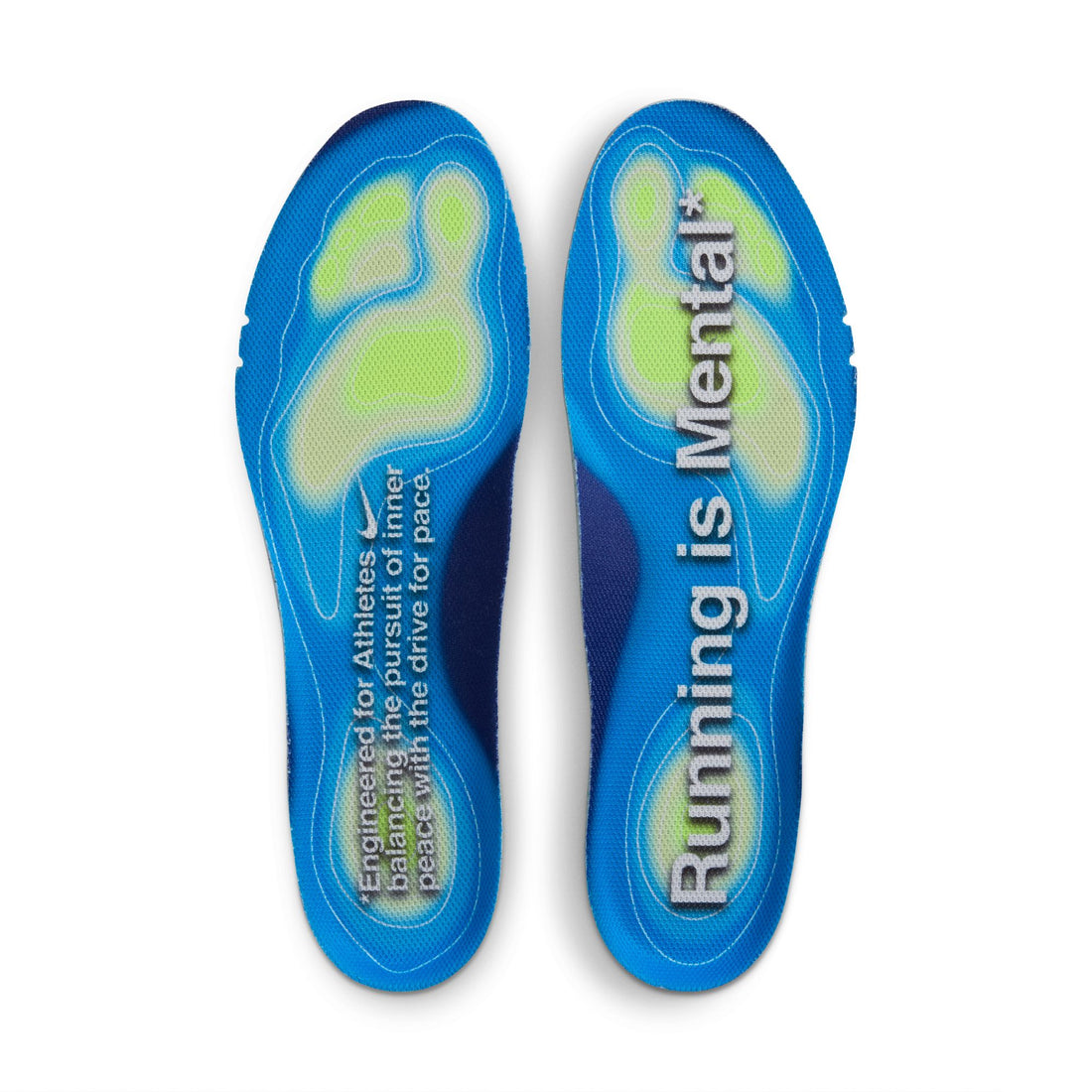 Nike Pegasus Premium (Platinum Tint/Reflect Silver)