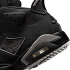Air Jordan 6 Retro (BLACK/REFLECT SILVER-BLACK)