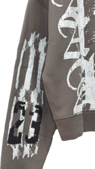 Air Jordan 17 Graphic Hoodie (Cavestone)