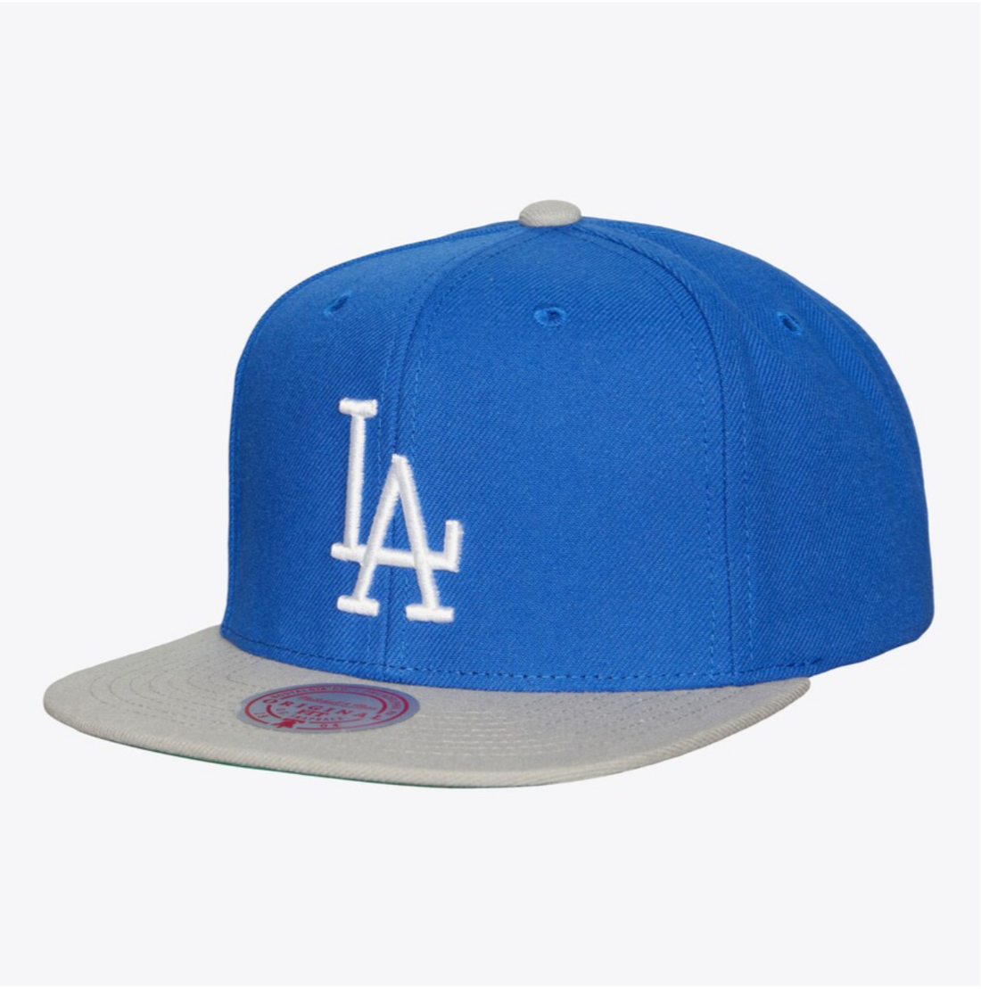 Mitchell & Ness MLB Evergreen Snapback Coop Dodgers (Blue)