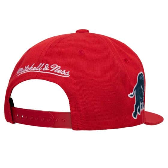 Mitchell & Ness NCAA Foundation Script Howard (Red)